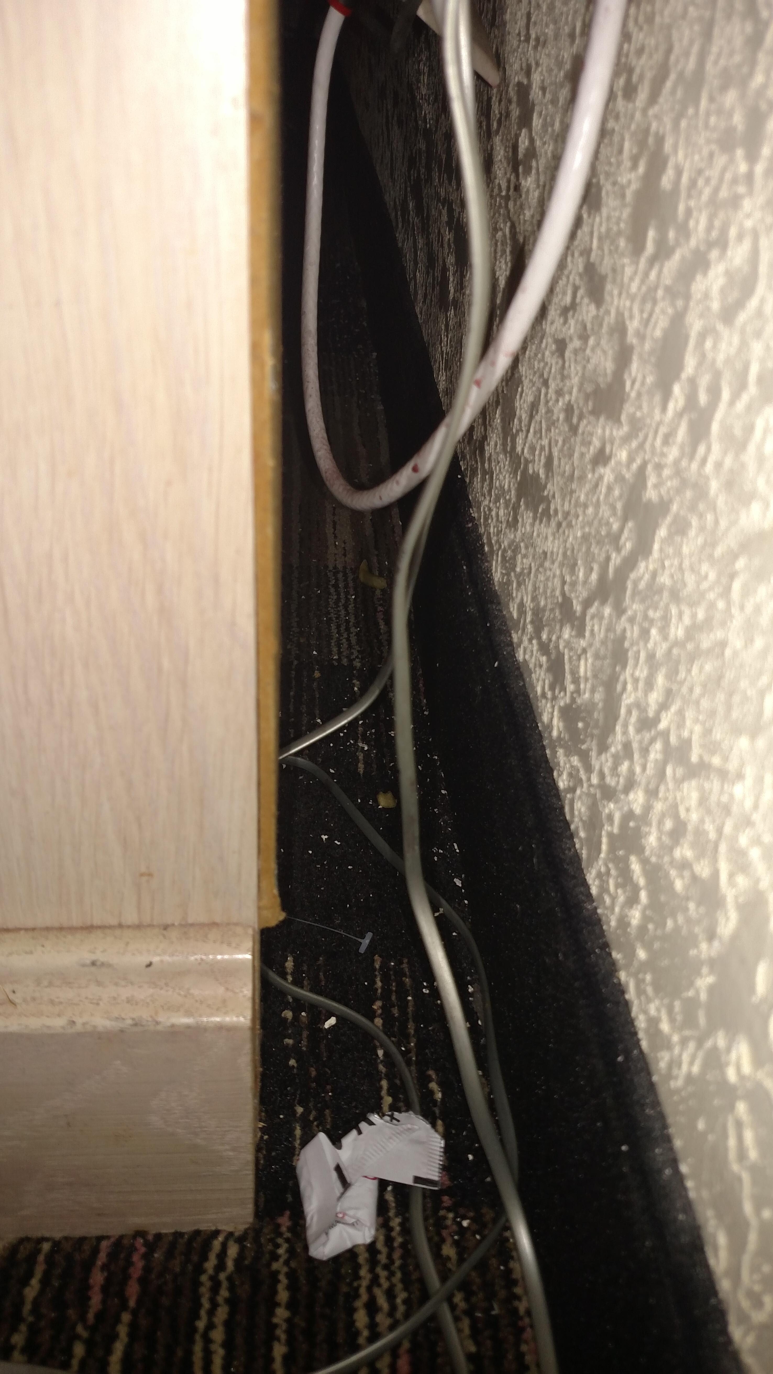 Mold and paint