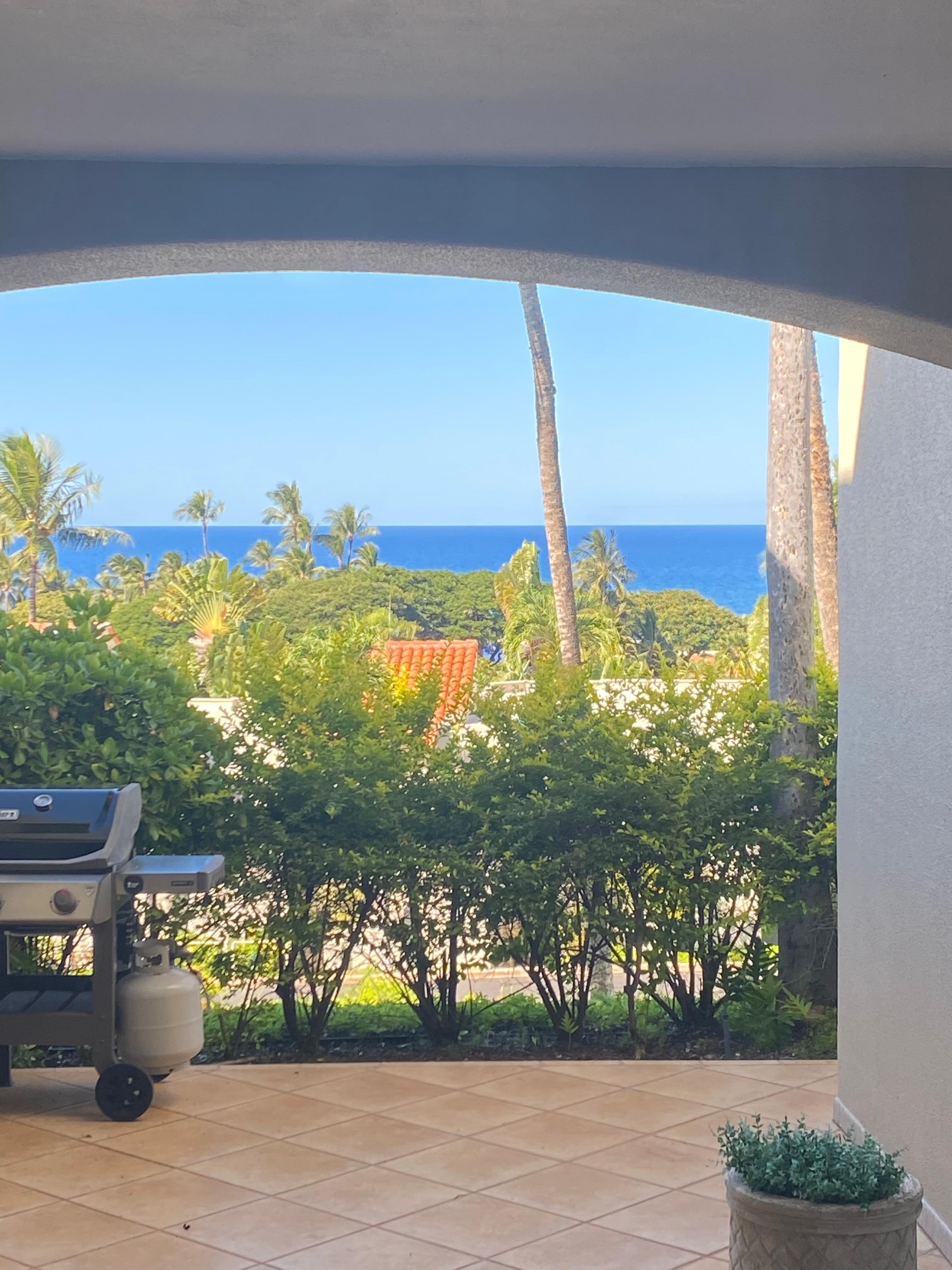 View from the master bedroom and kitchen/living 