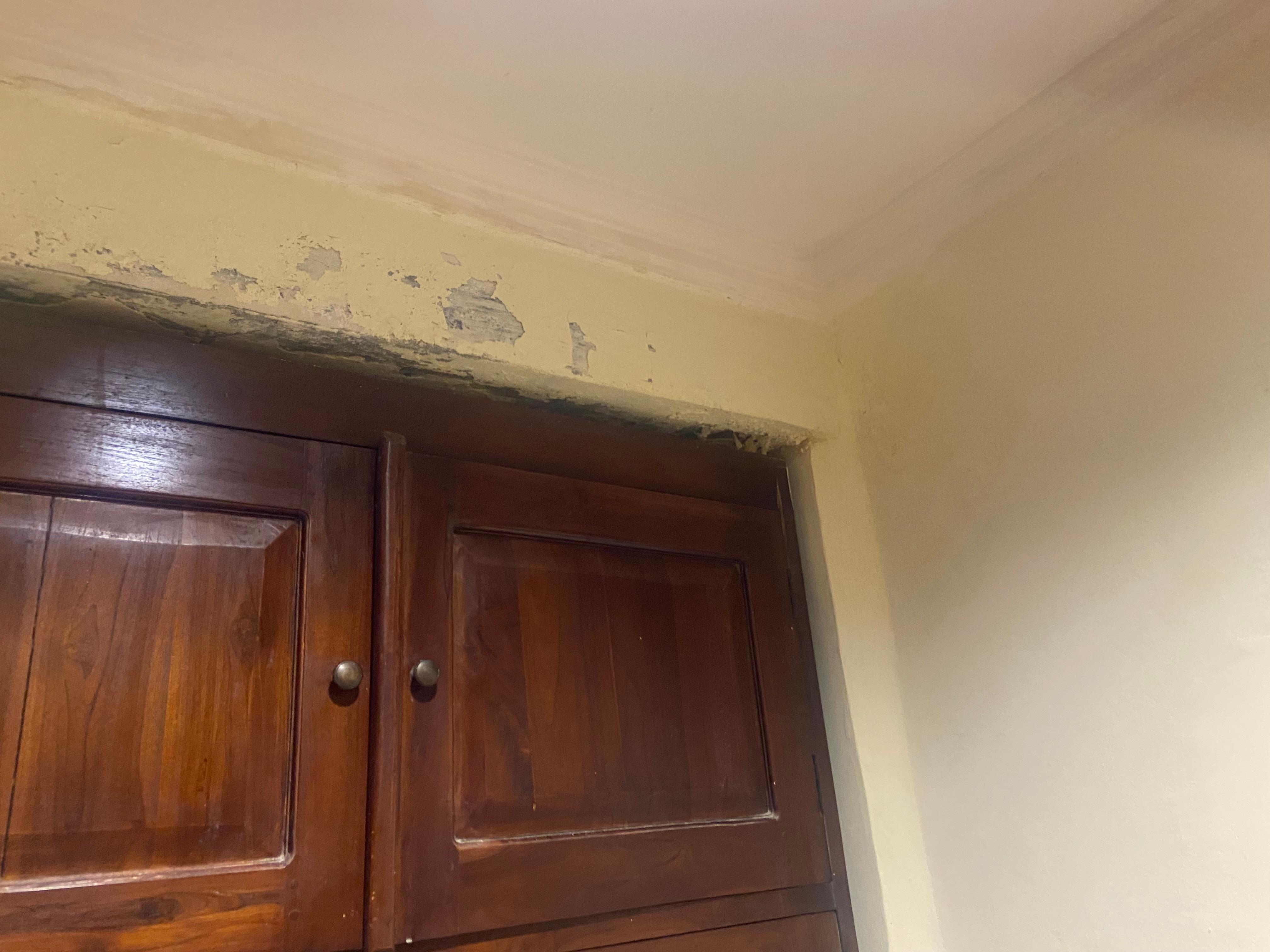 Mold in villas