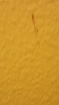 Boogers smeared on bathroom walls.