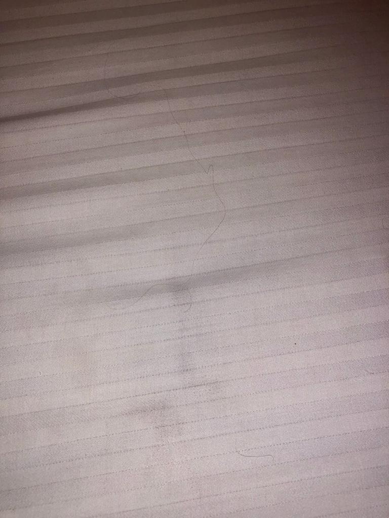 Pubic hairs in my bed