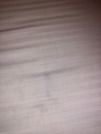 Pubic hairs in my bed