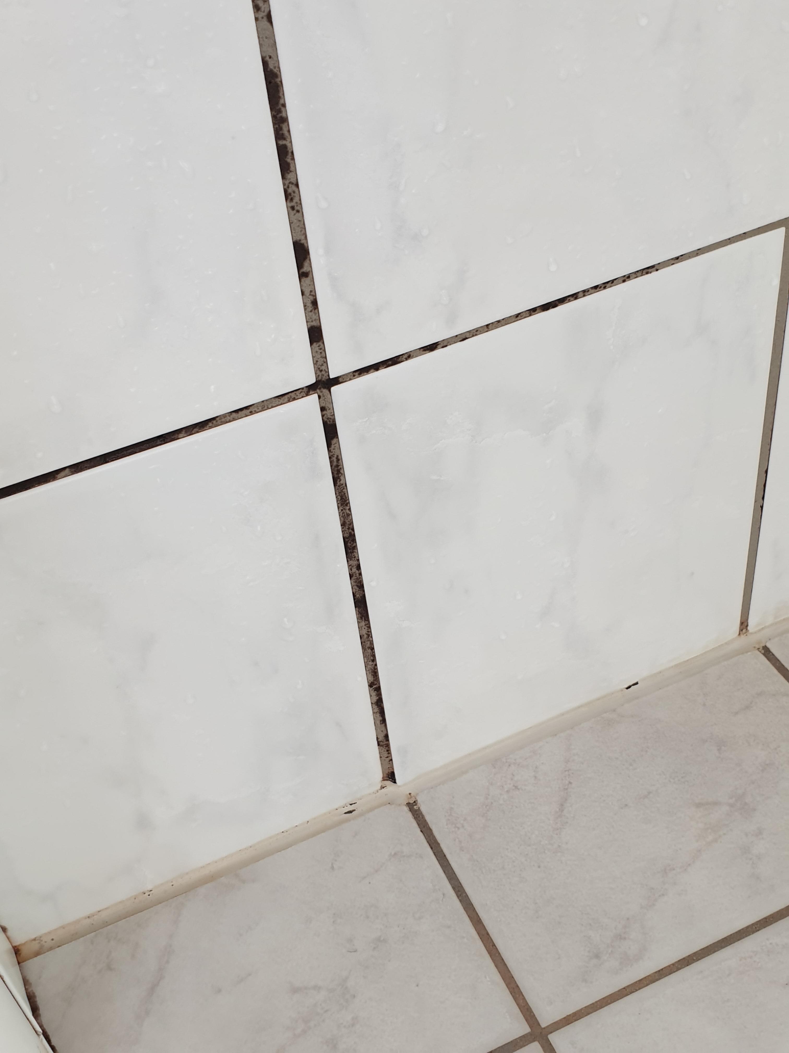 Black mold between the shower tiles.