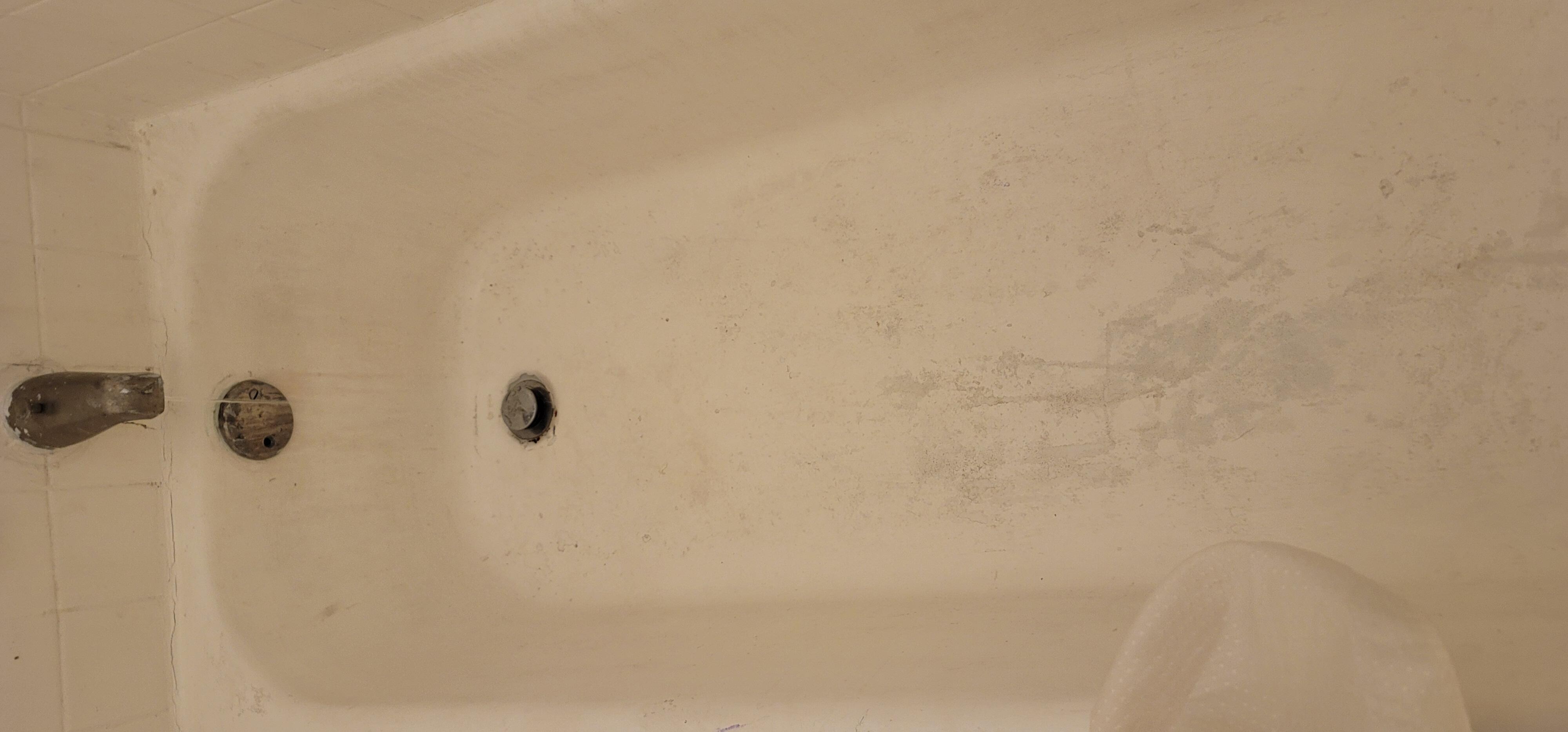 Dirty tub with roaches in 1st room