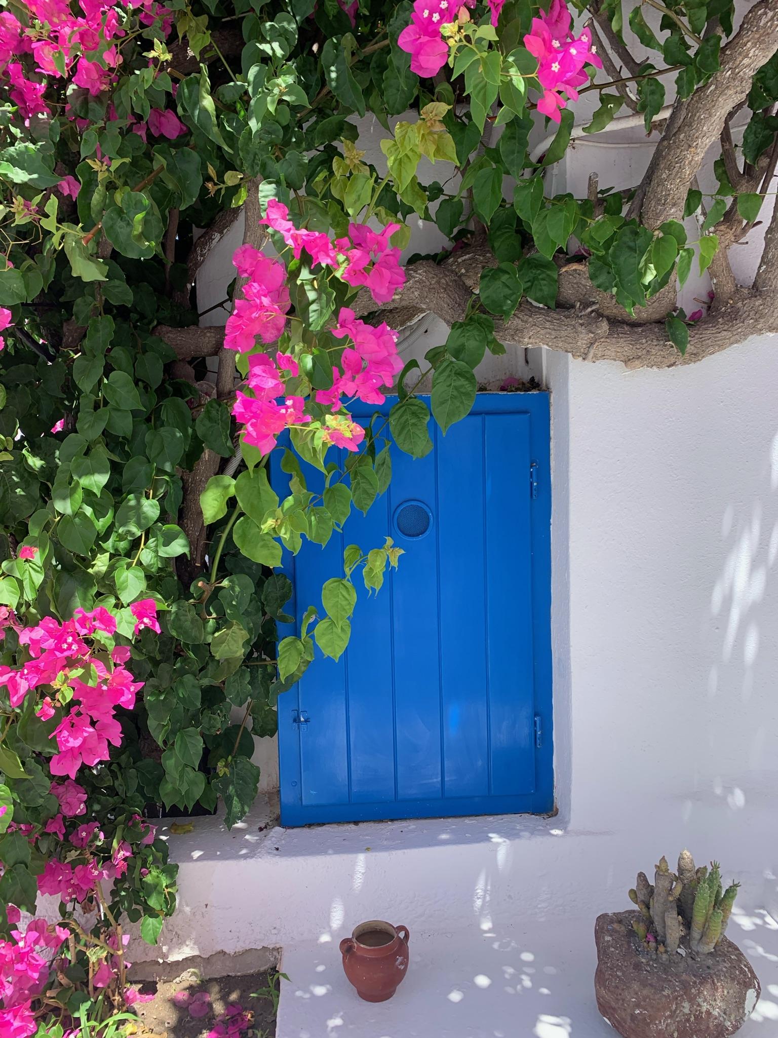 The apartment front door