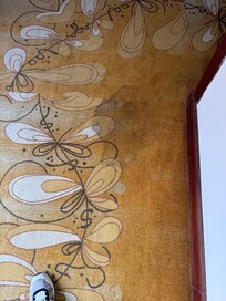 Todas las alfombras en pasillos y cuartos sucias. No hay forma de pisarlas descalzo