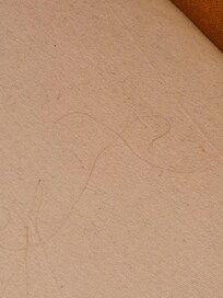 Hairs in Bed