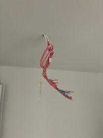 Hallway exposed wiring