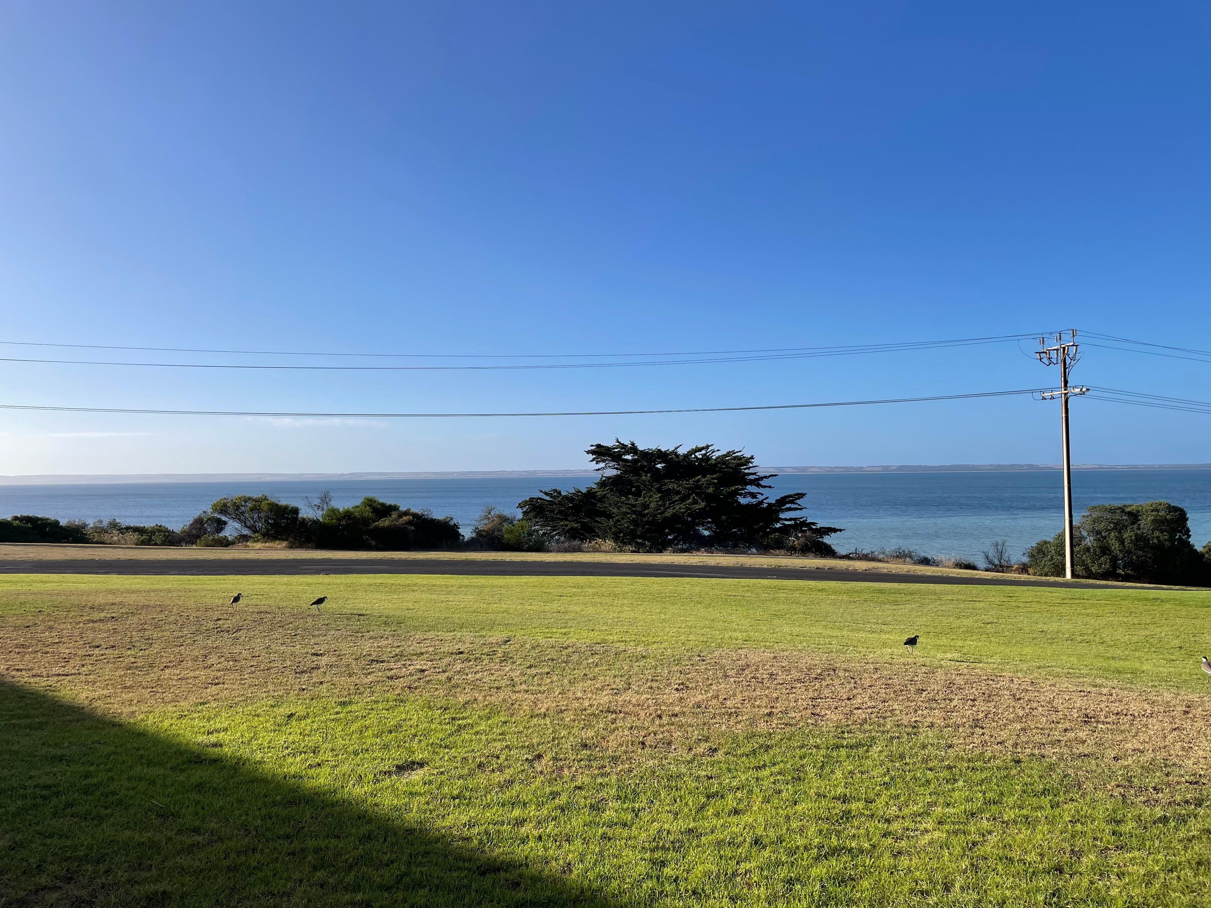 View across the lawn to the water