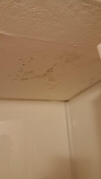 Mouldy ceiling