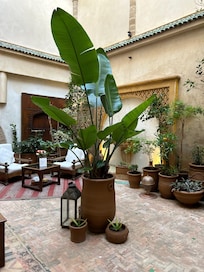 The welcoming lobby.