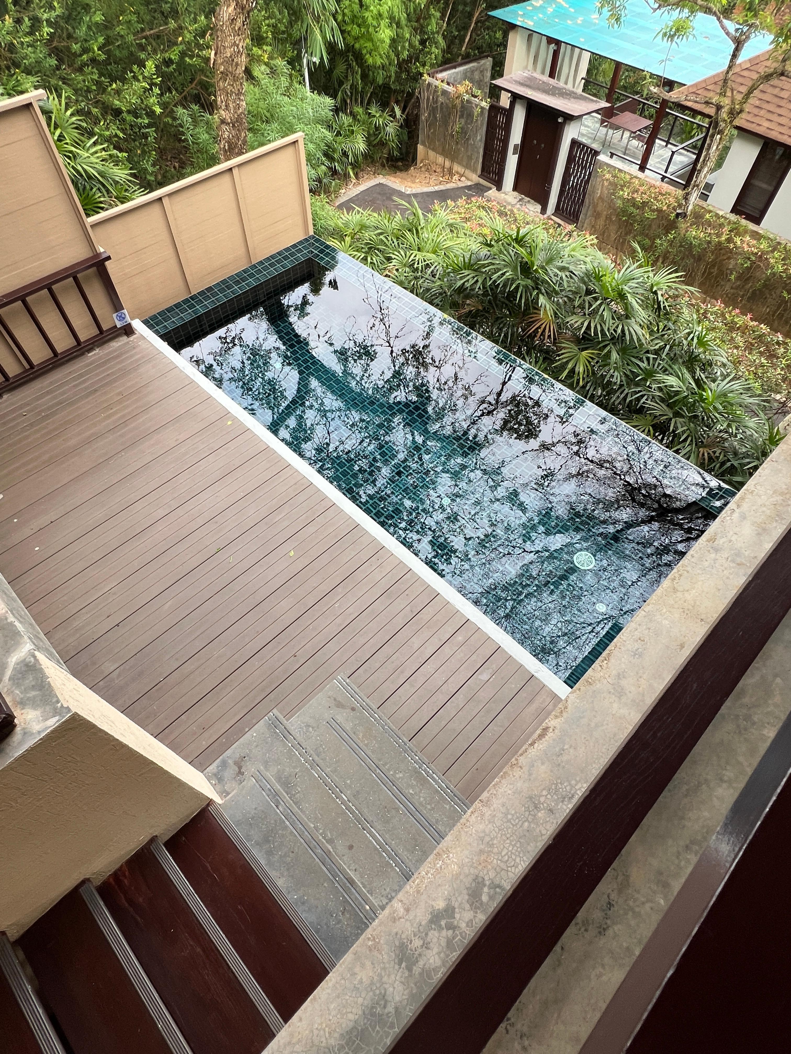 Treetop villa pool