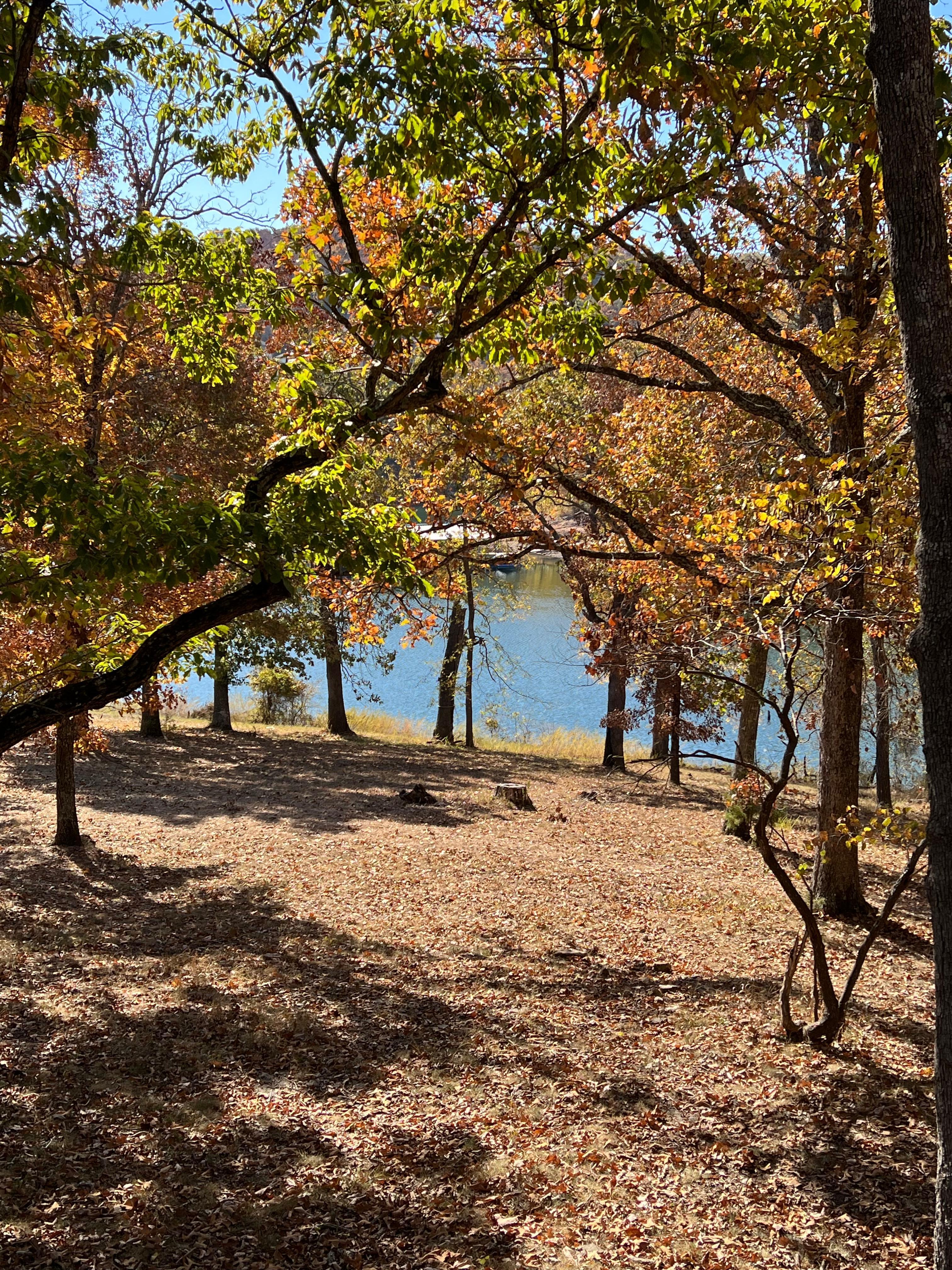 View from back deck