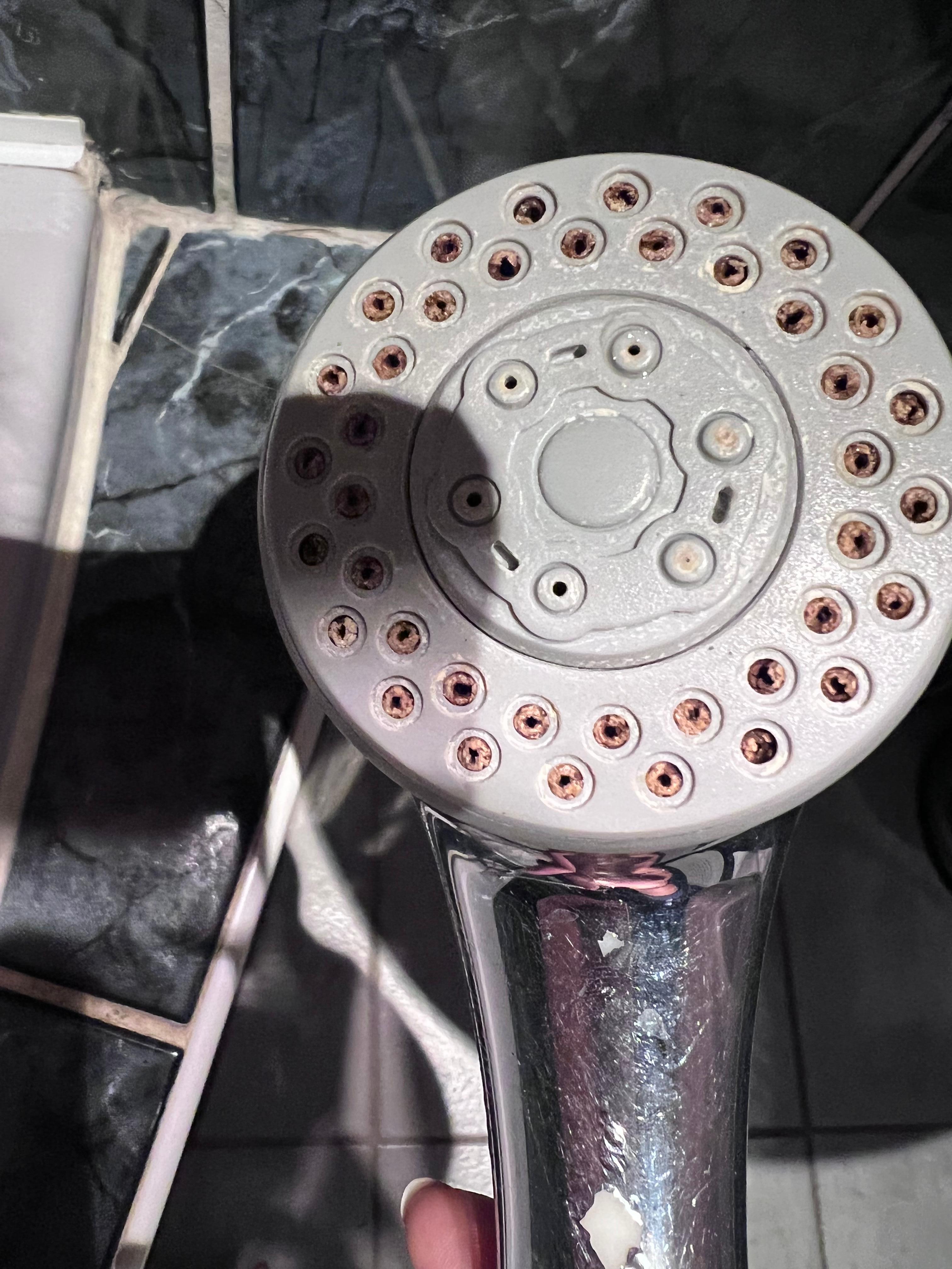 Crusty shower head