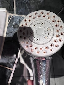 Crusty shower head