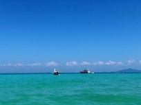 天天躺在泳池看海