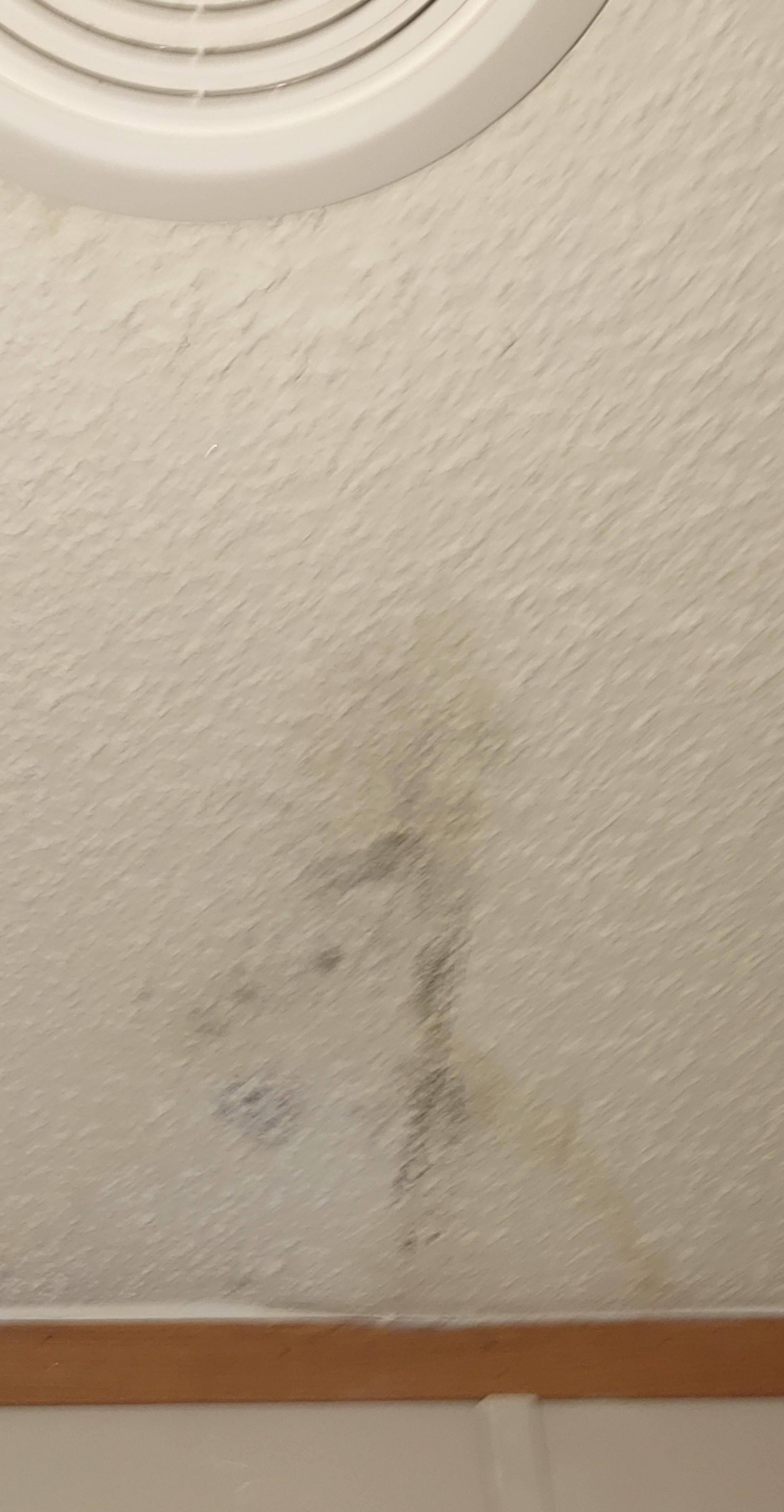 Mold on bathroom ceiling