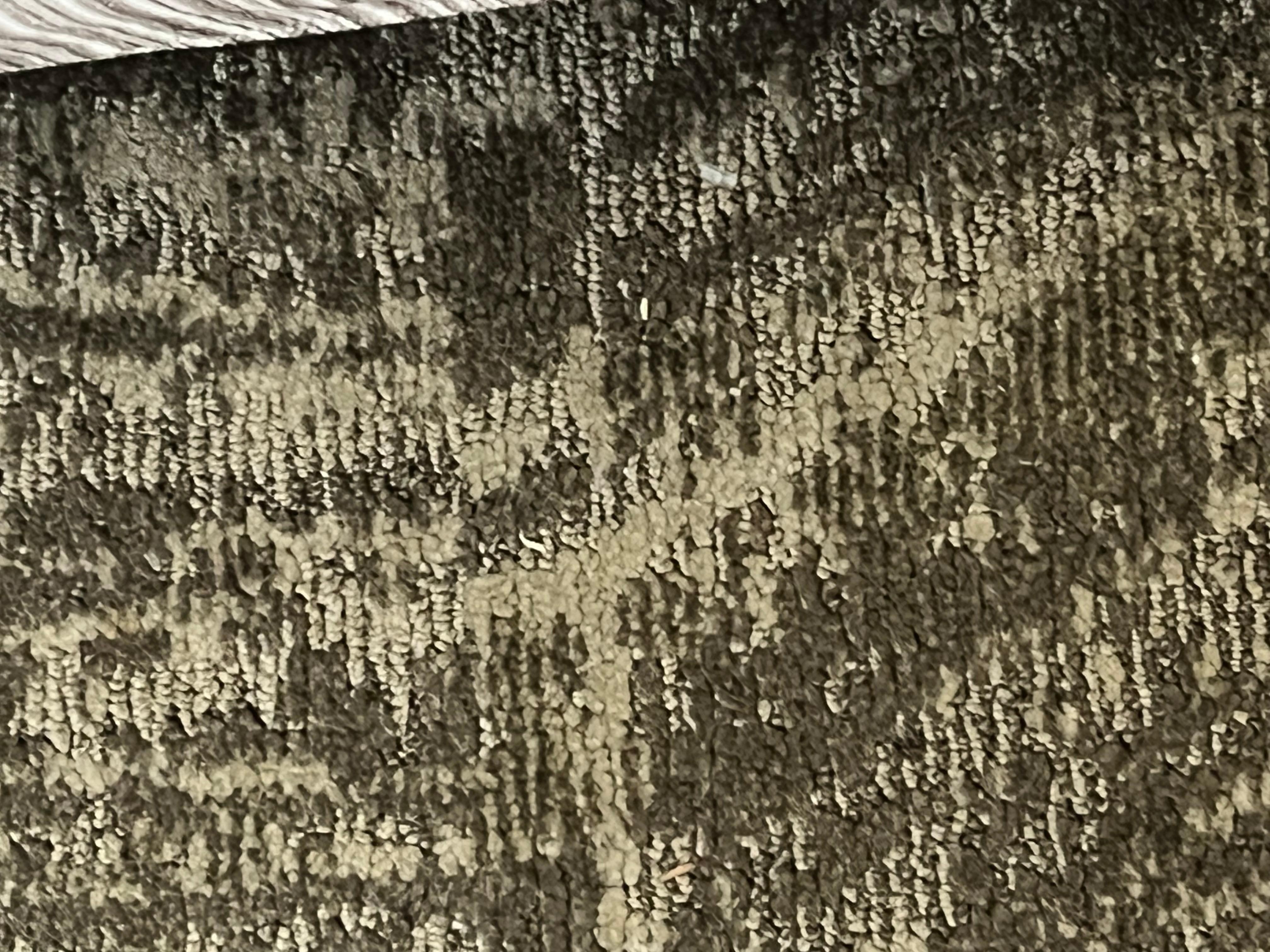 More not vacuumed