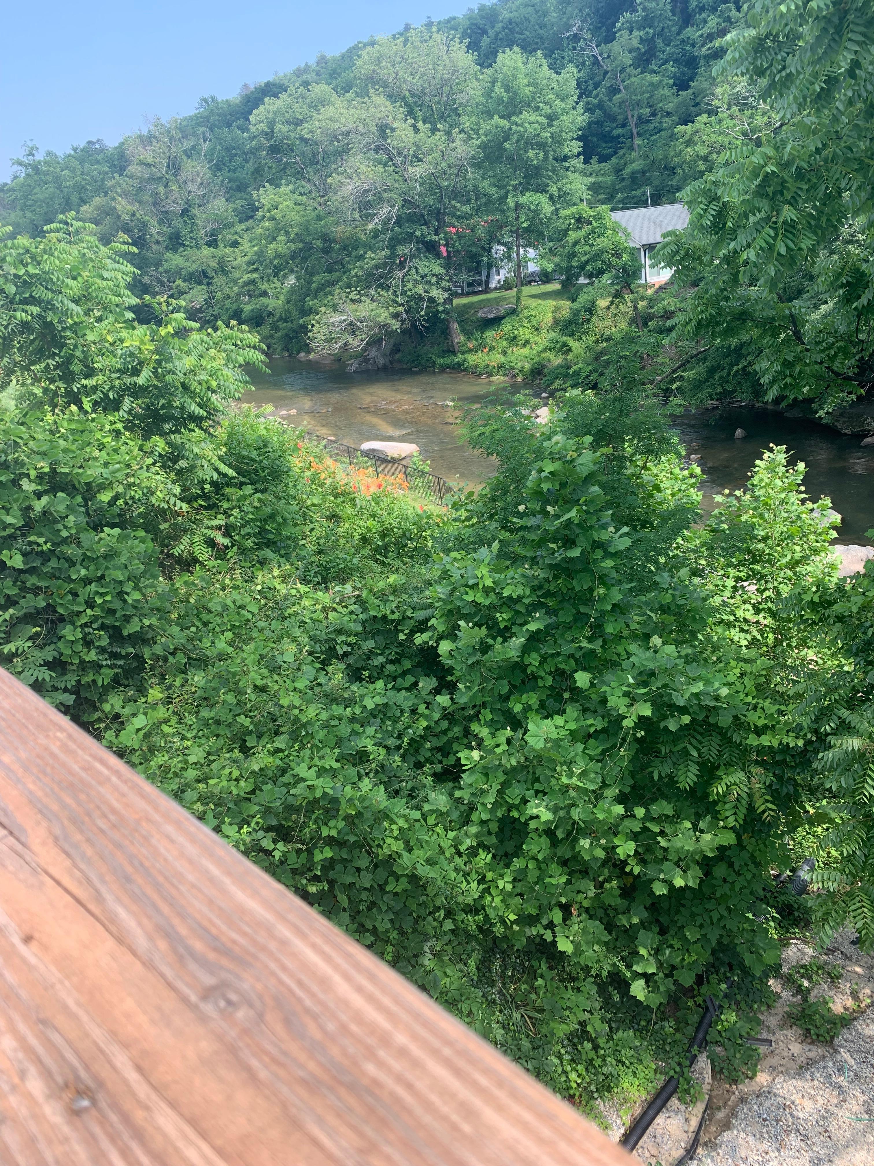 Balcony view 