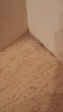 Suciedad y pelos en esquinas del baño