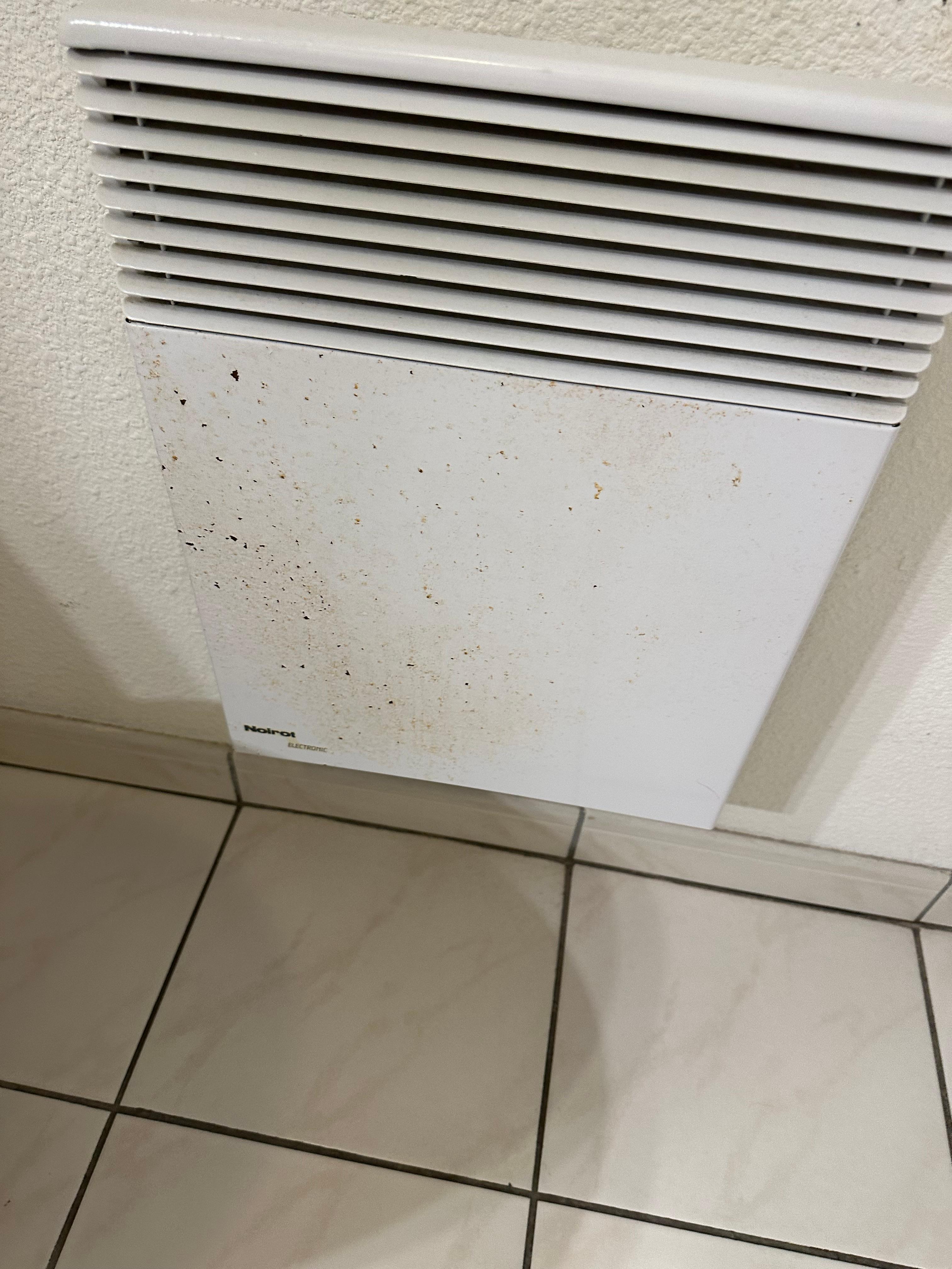 mold or rust on the heater in the bathroom