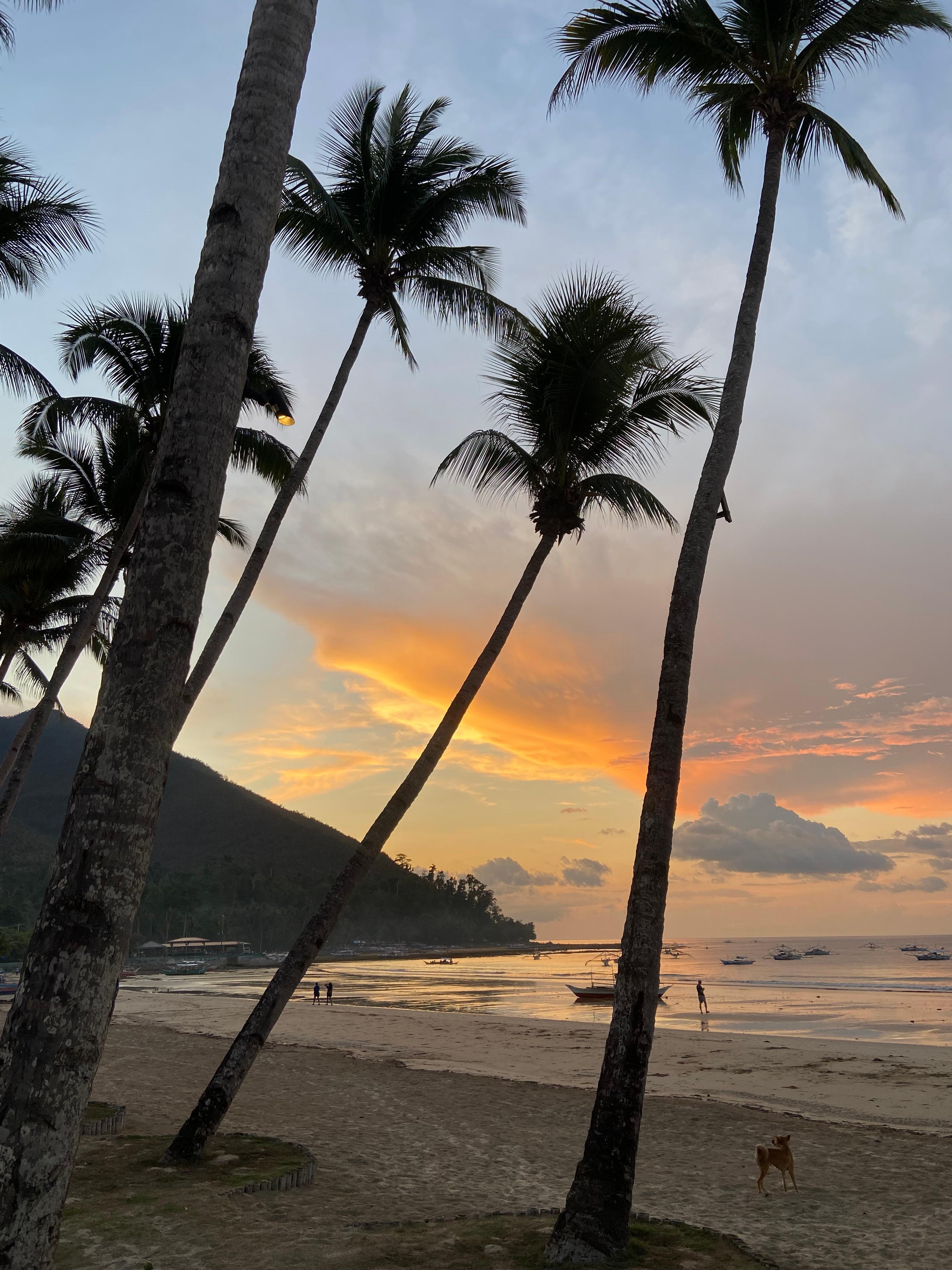 From the beach bar, sunset view.