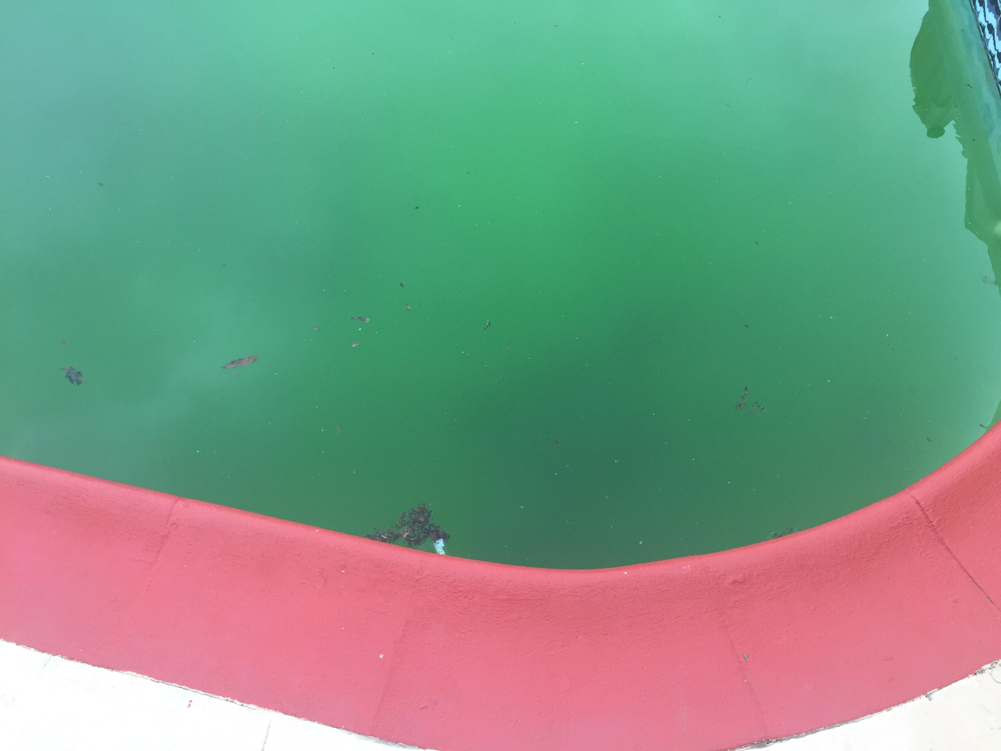 Green Pool
