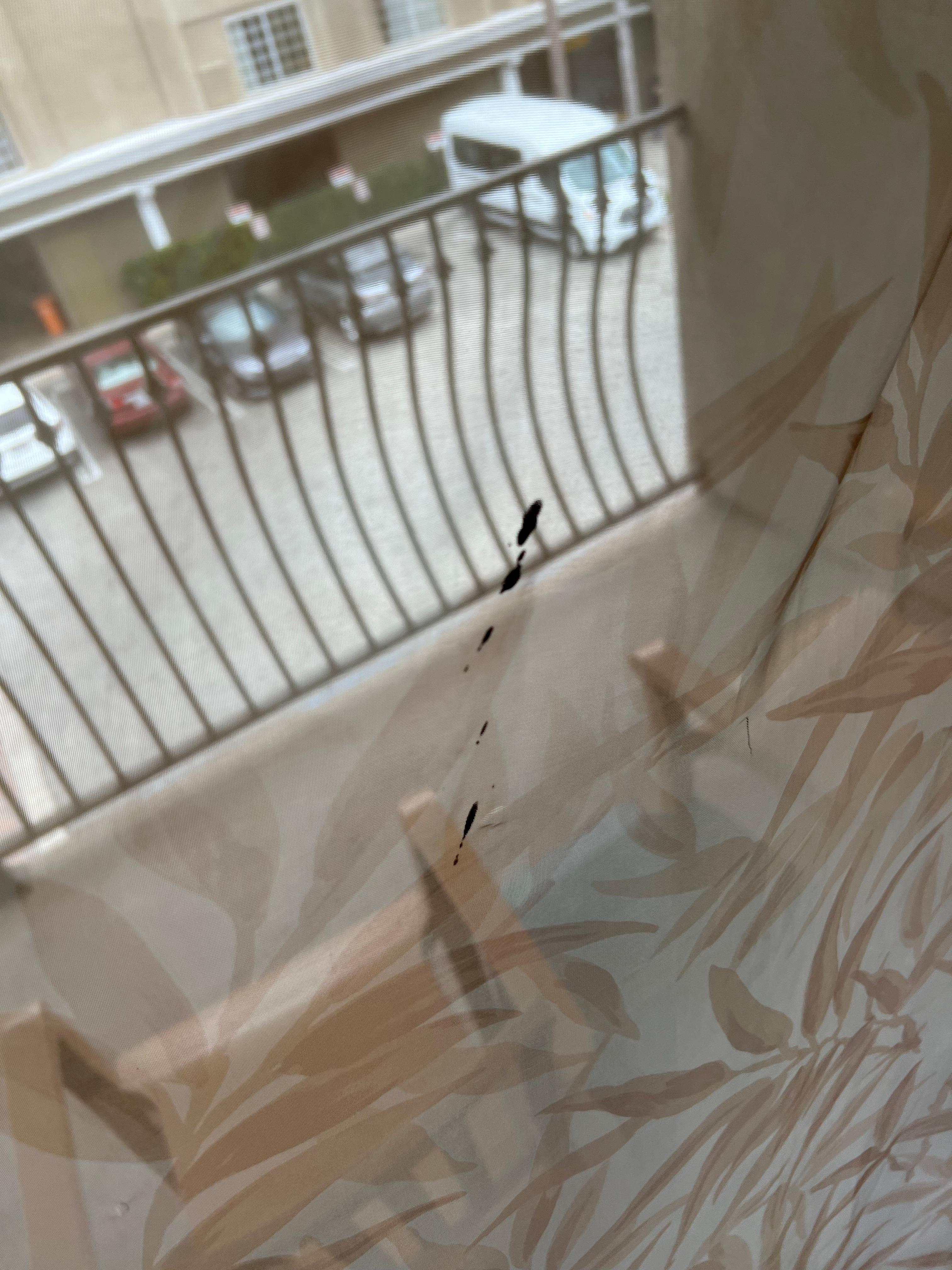 Bird poop on the sheer