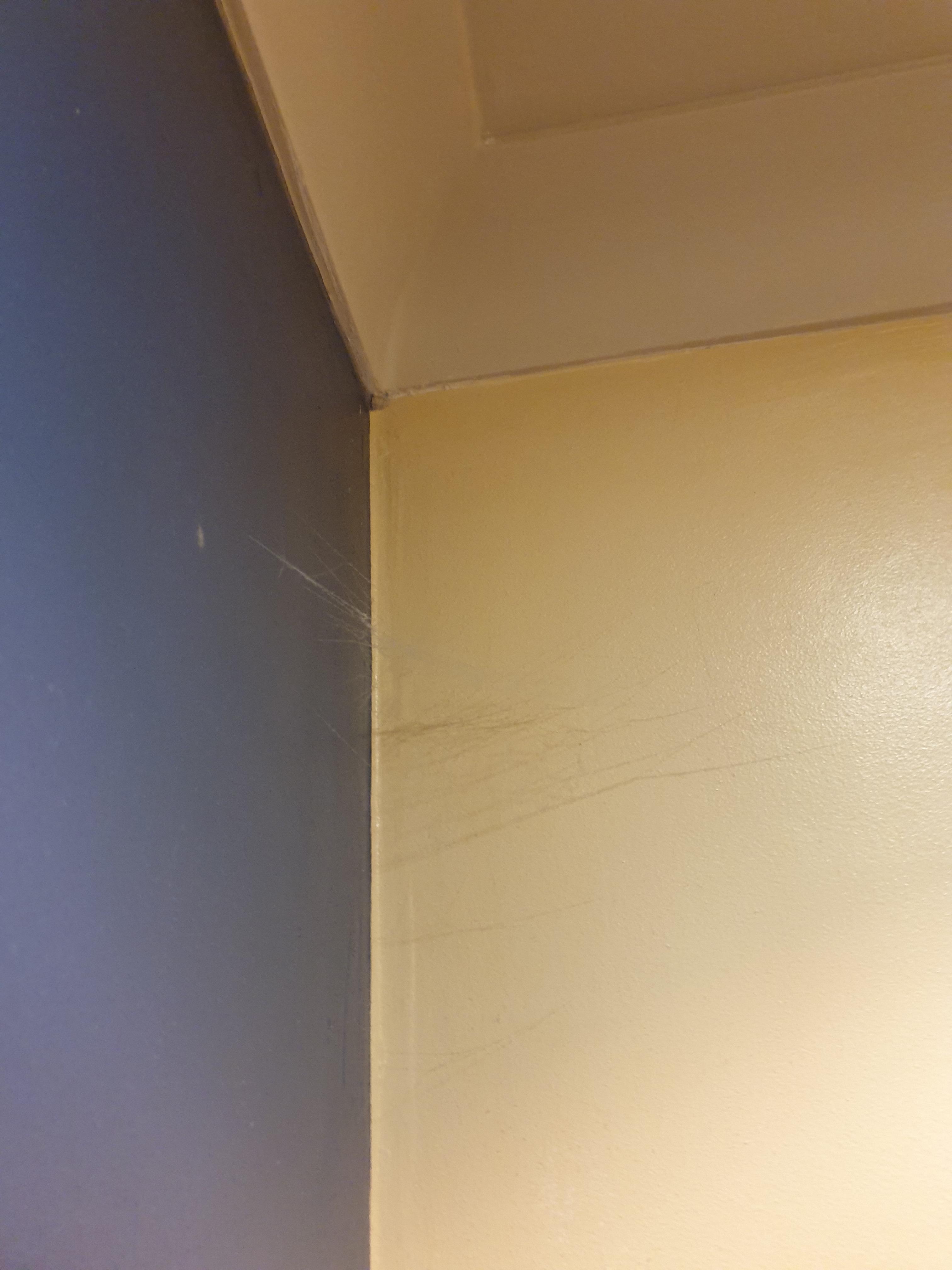 Dust webs in corner 