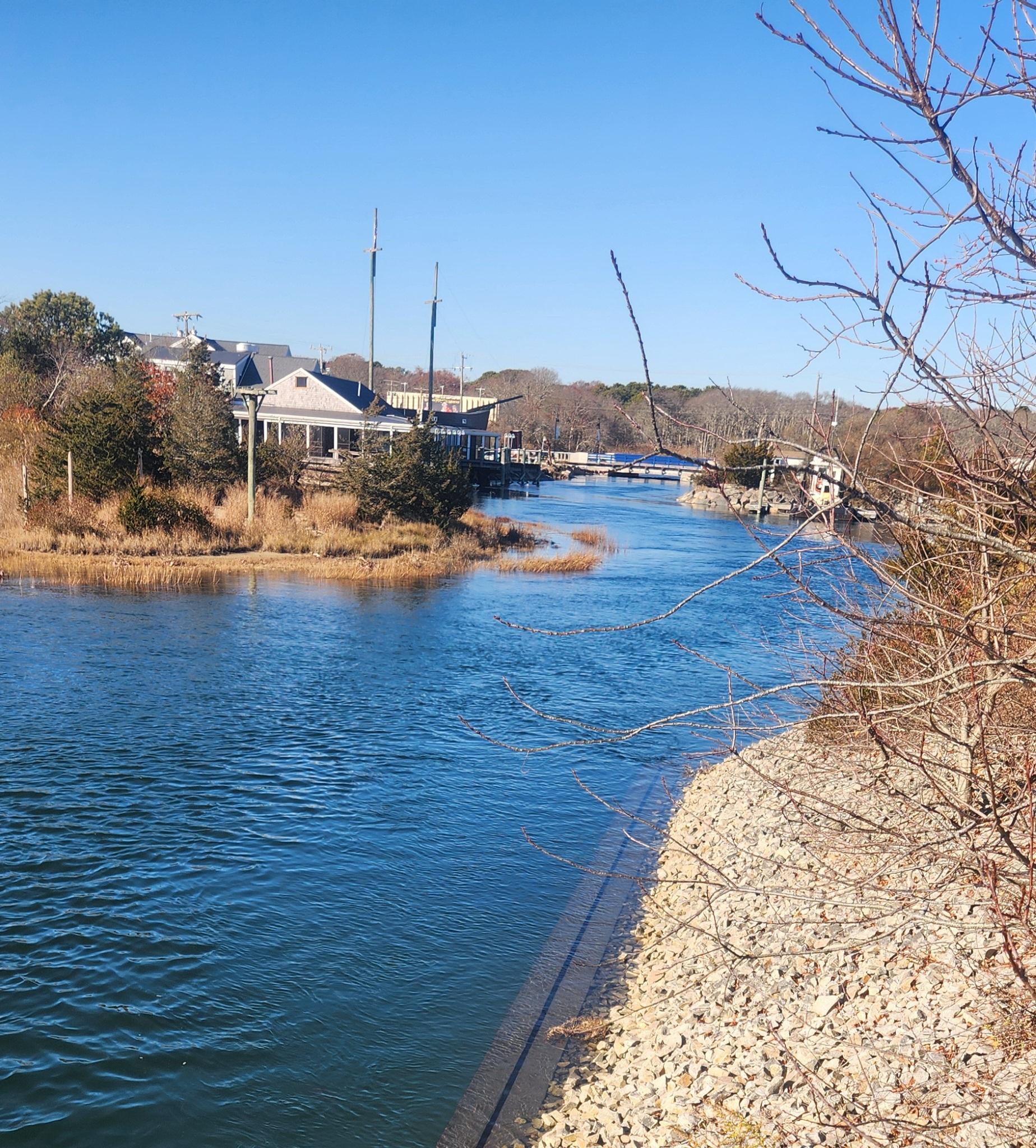 View of river from backyard 