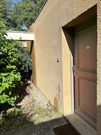 Faded door and overgrown doorway