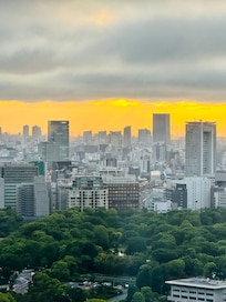 Vista de la suite 2909