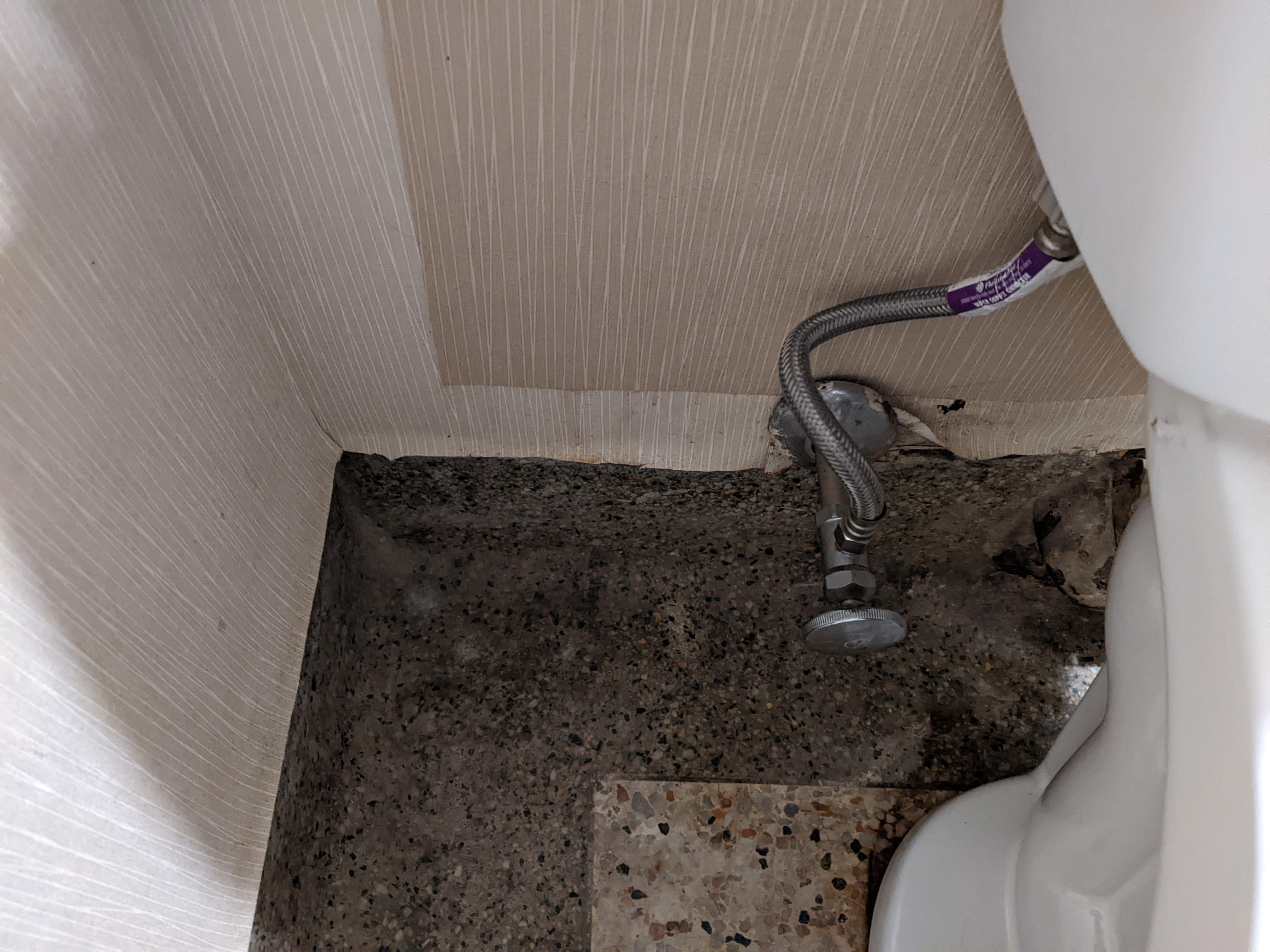 disgusting floors behind toilet