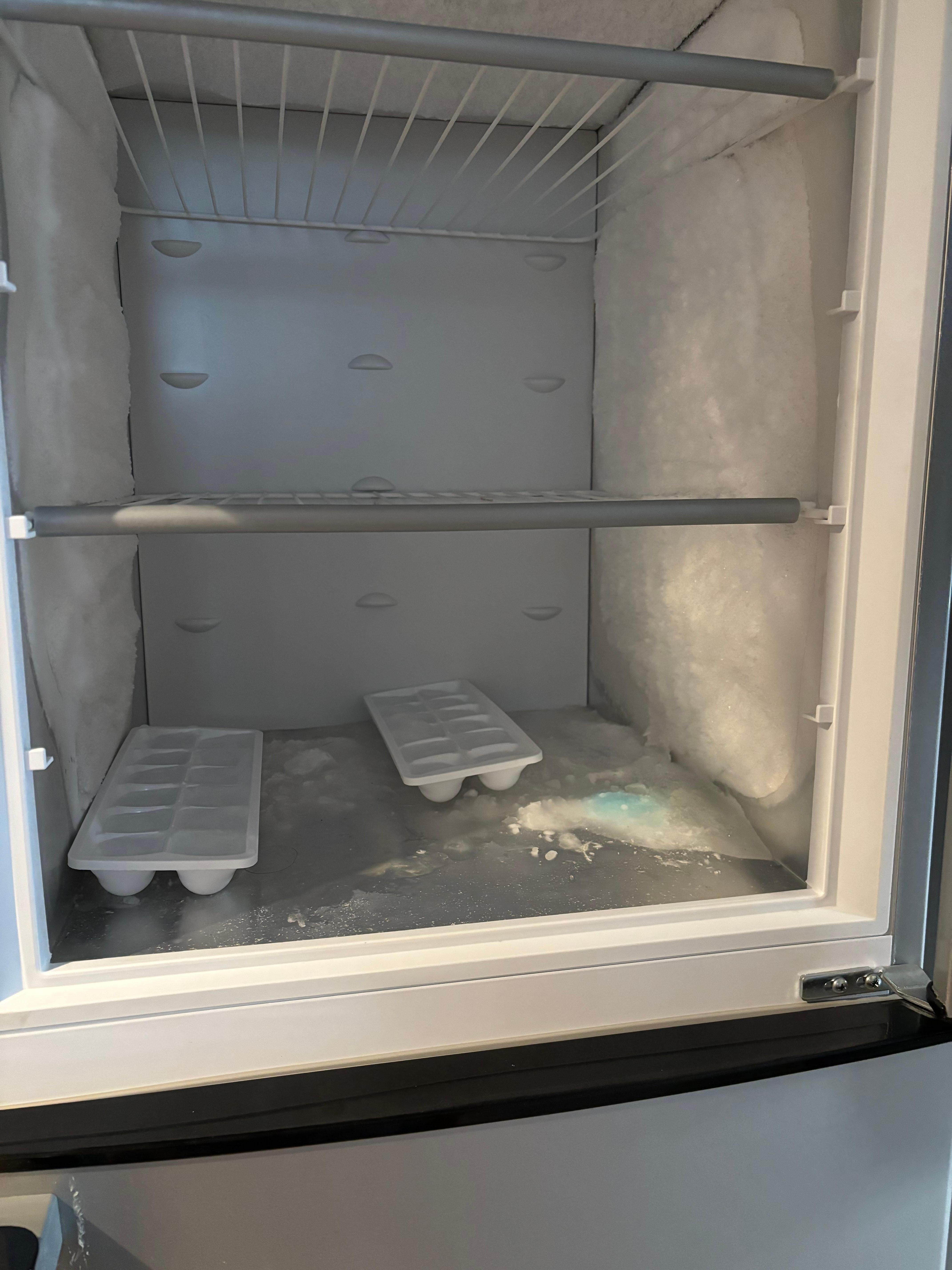 Dirty neglected freezer !! 