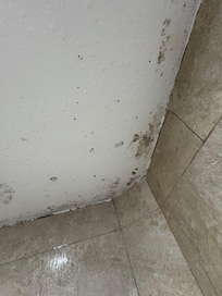Schimmel an der Decke und in den Ecken