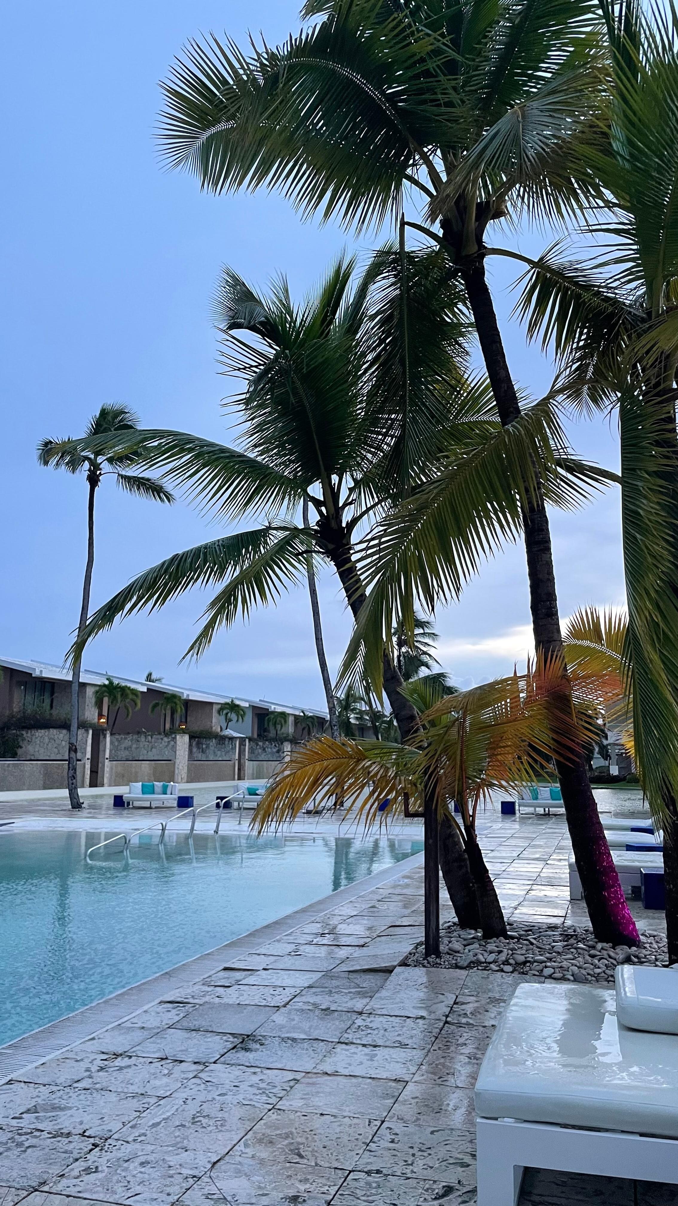 The quiet pool