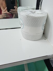 Dead bugs in the bathroom