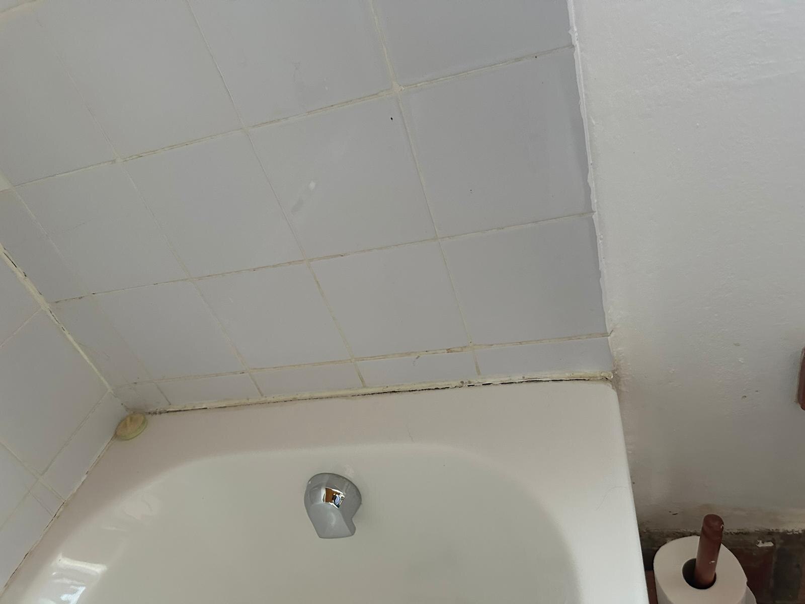 mold around the bath