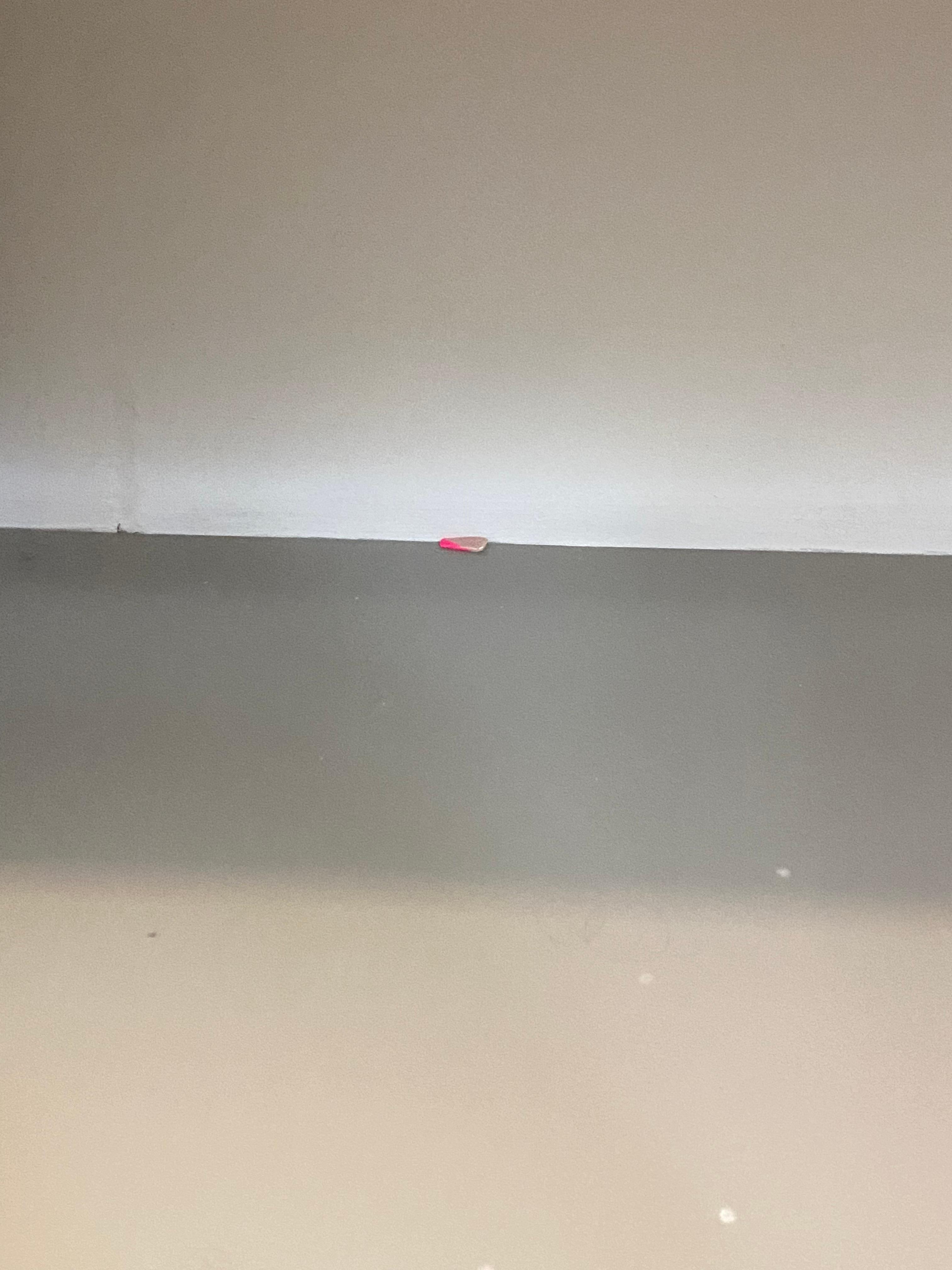 Acrylic nail found in bathroom