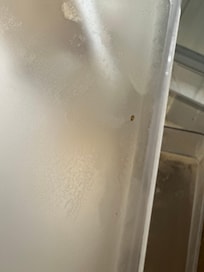 Roaches in refrigerator