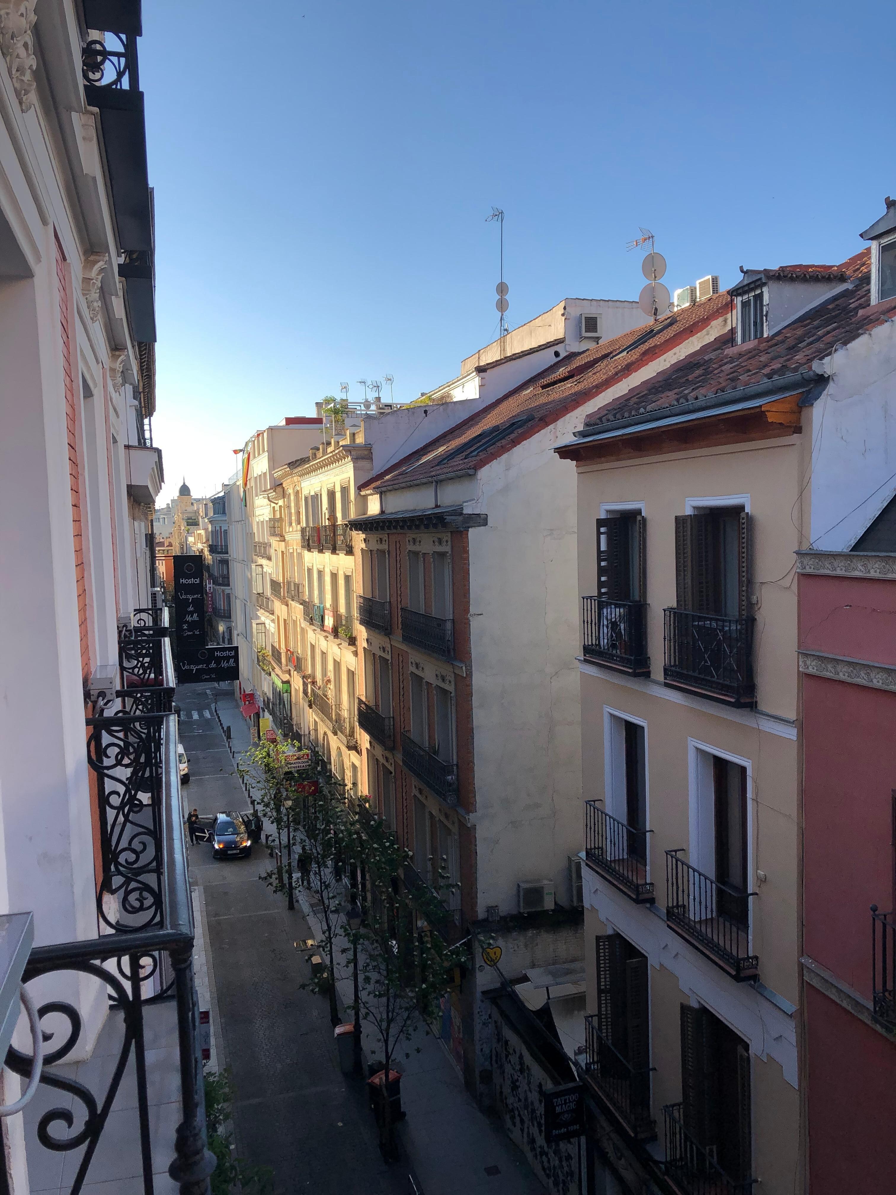 ホテルからの景色