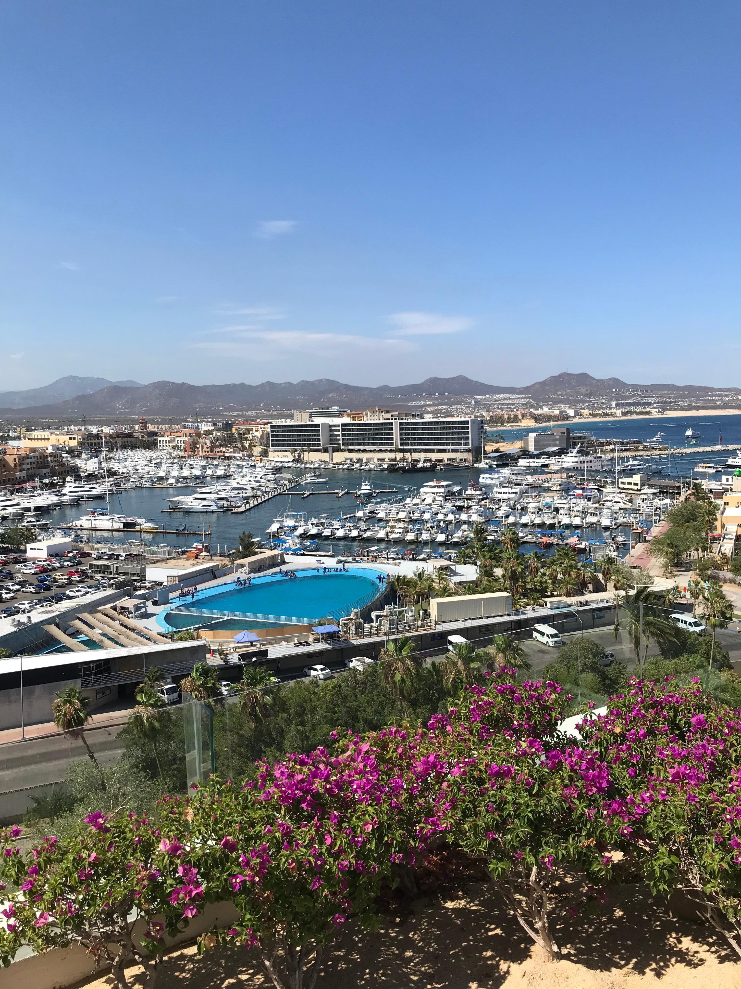 Marina view