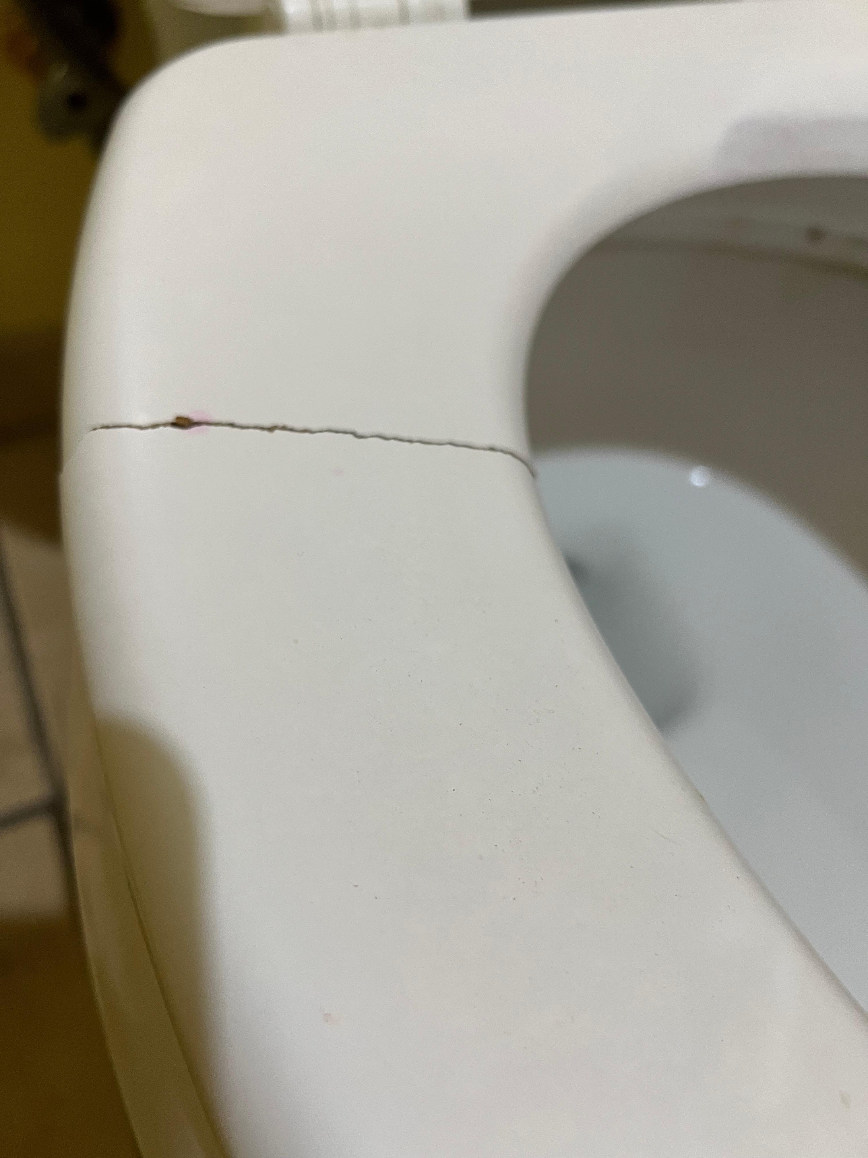 Cracked toilet seat