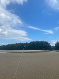 Stranden vid ebb