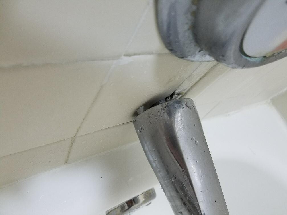 shower head