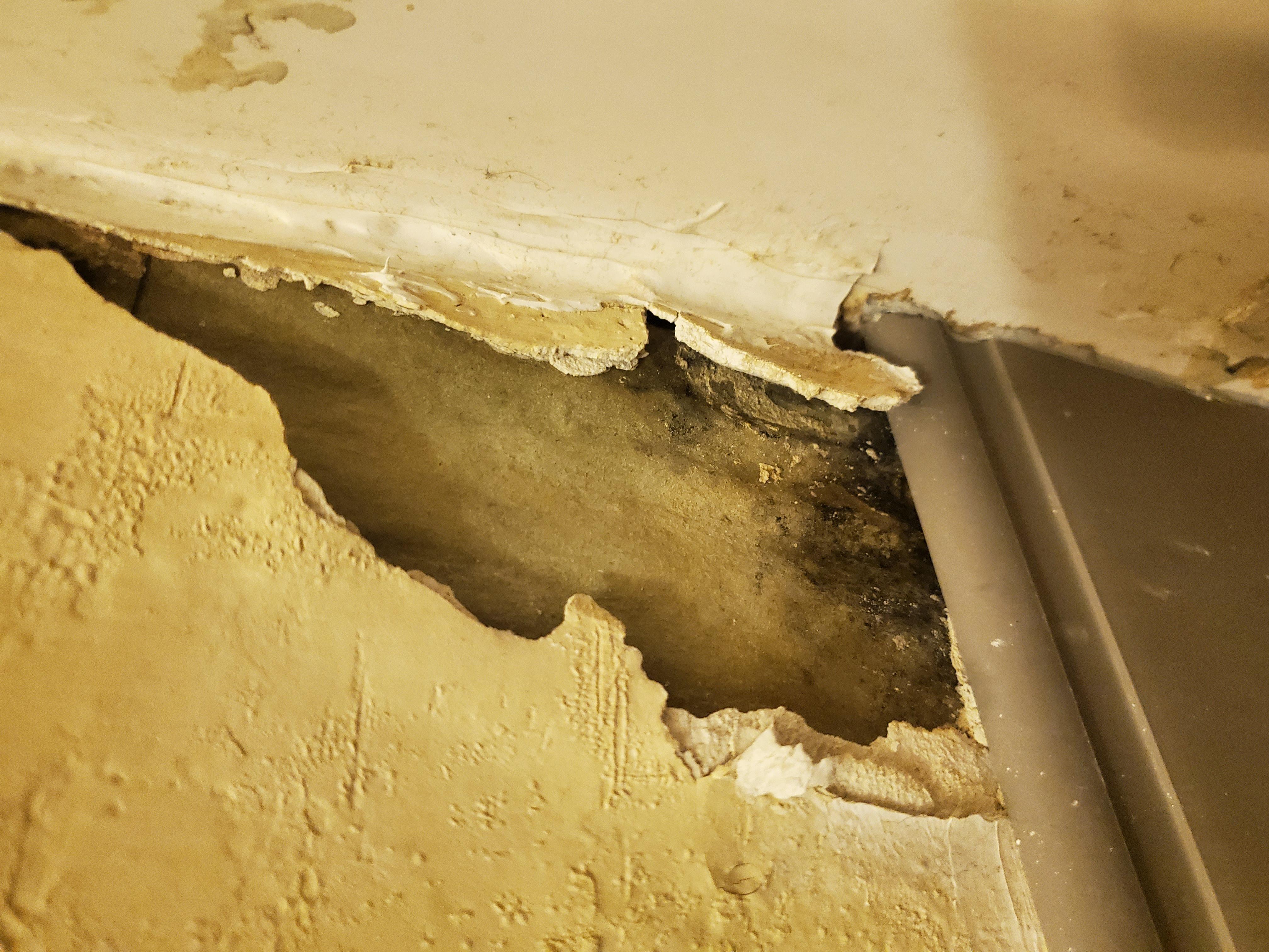 Mold in bathroom wall
