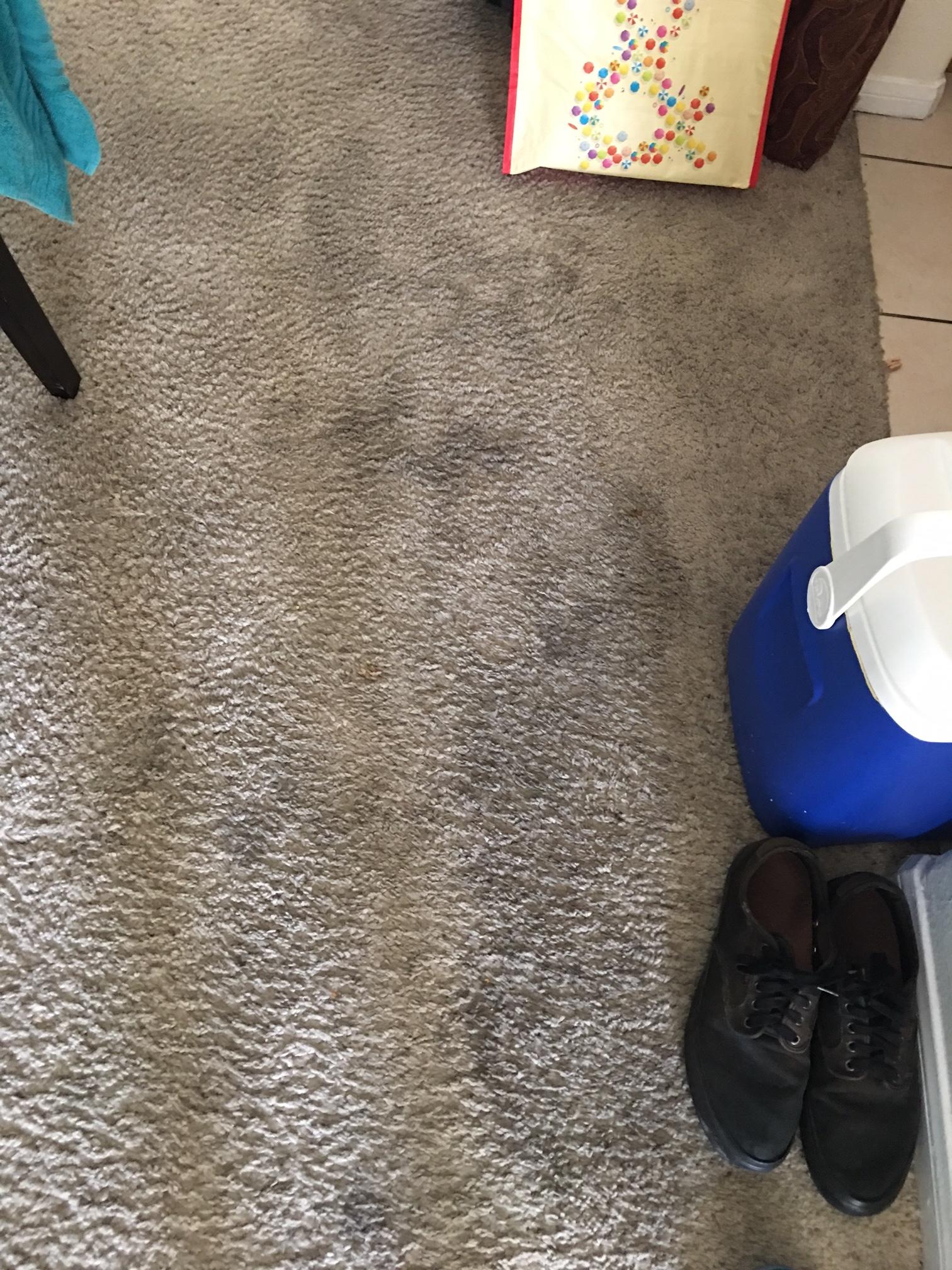 Disgusting Carpet that sticks to your feet