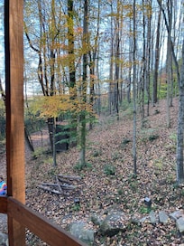 View from the balcony walkway