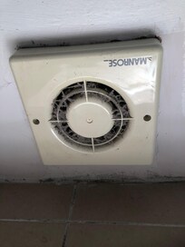 Extractor fan - needs a polish.