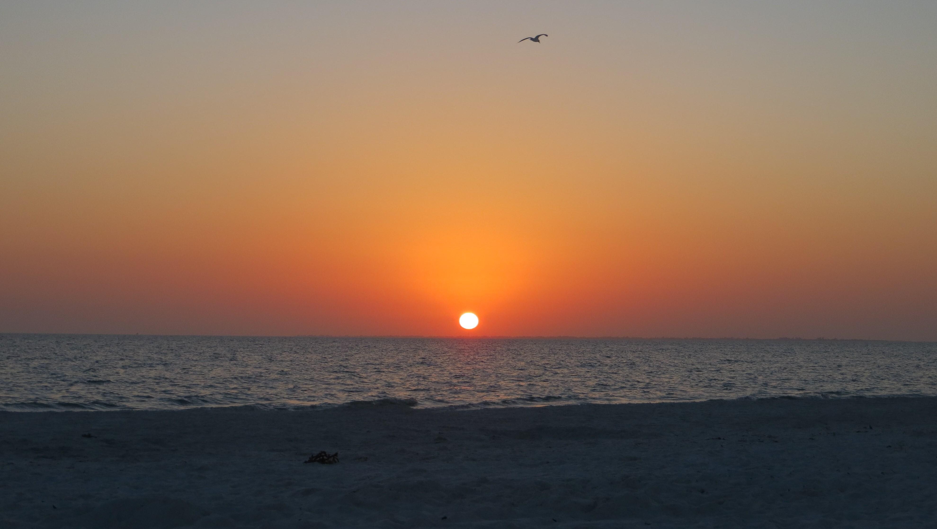 Sunset in paradise